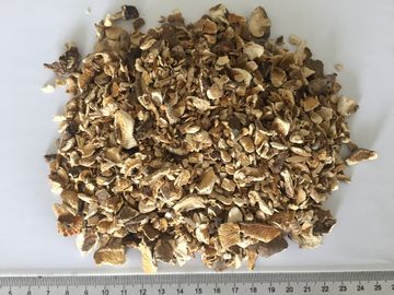 شيتاكي حبيبات الفطر المجففة حجم 10x10 مم مع الذوق الطبيعي